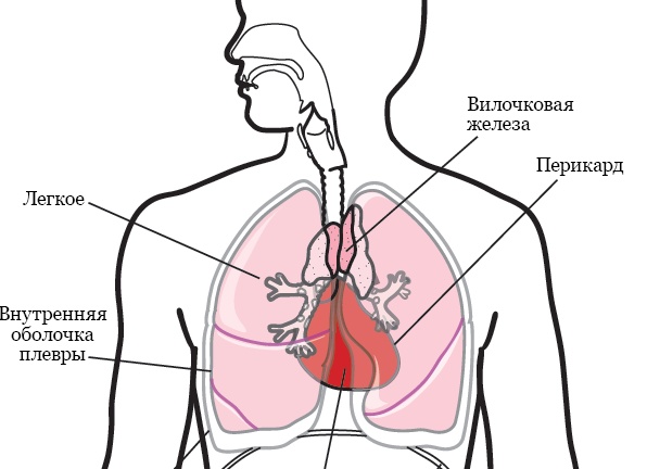 5 необычных способов использовать патчи под глаза