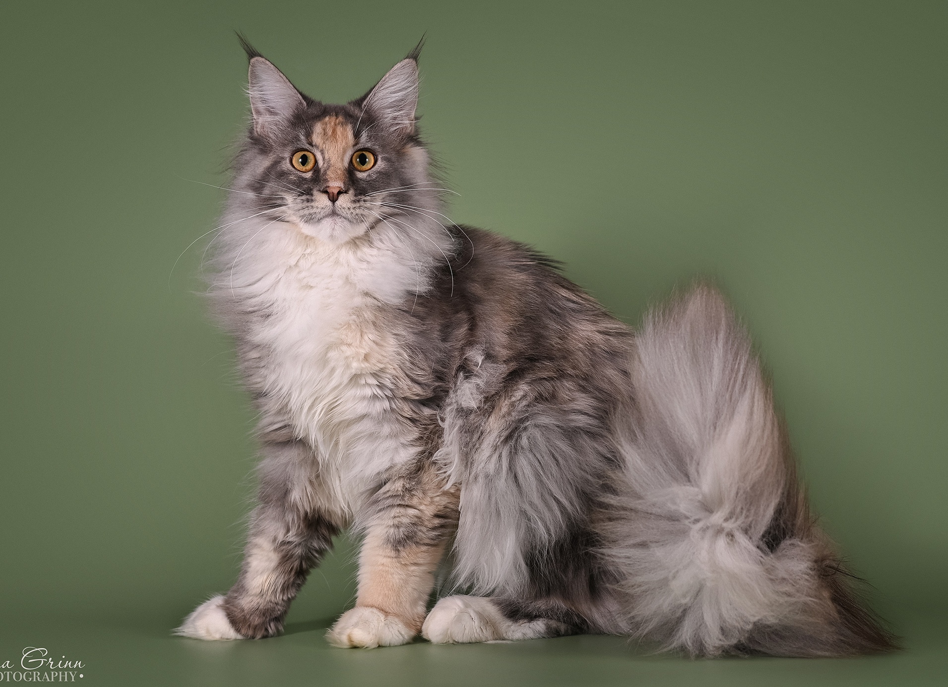 Распахнутый взгляд в любом возрасте. Как выглядеть молодо без следов от операции?