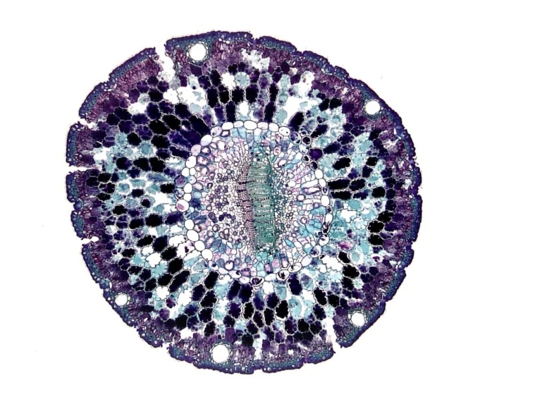 Персонализированная стоматология – что это такое?